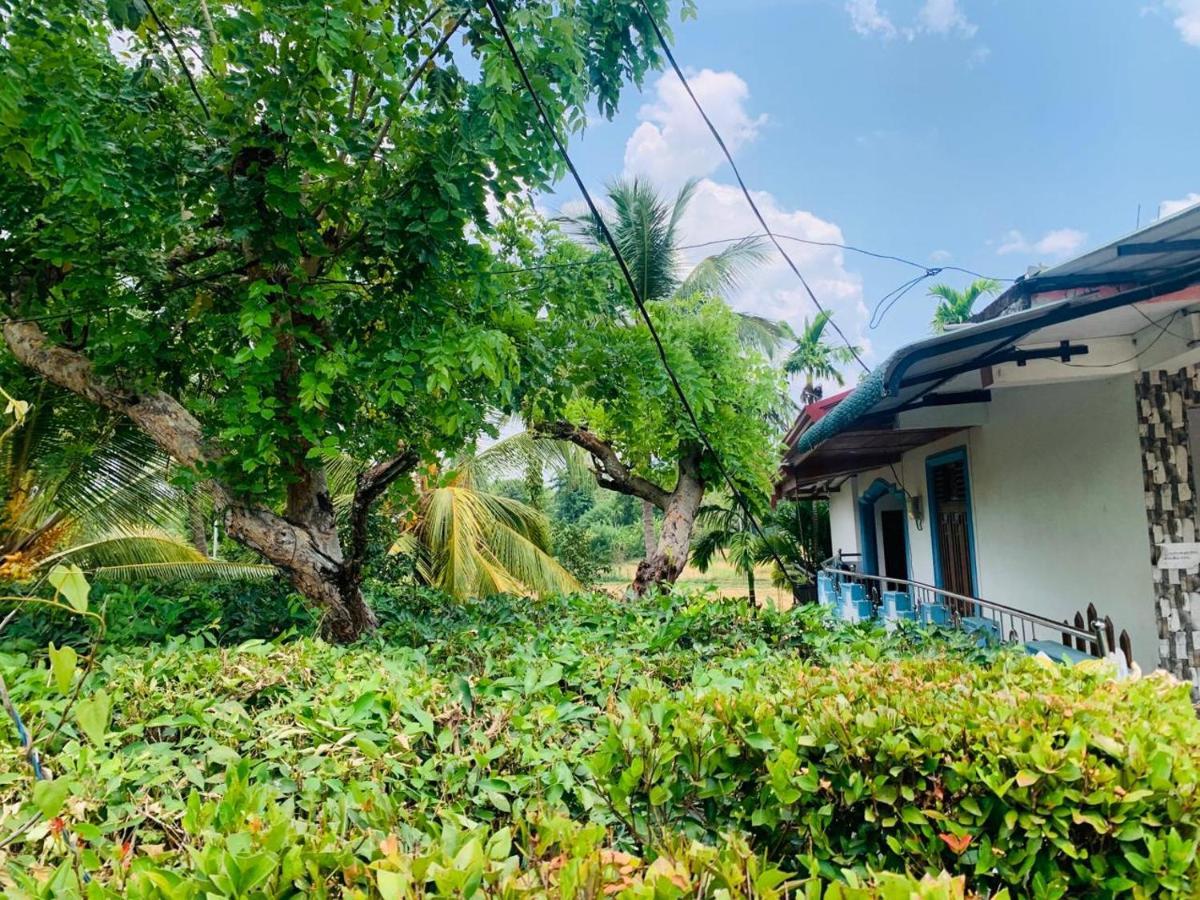 Gal Oya Lake View Inginiyagala Polwatta Bagian luar foto